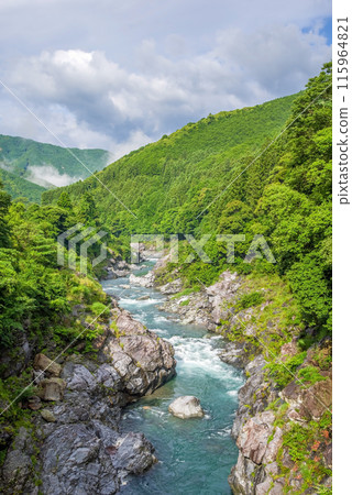 Beautiful summer valley [Ryonaikyo] Odaicho, Takigun, Mie Prefecture 115964821