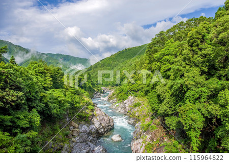 Beautiful summer valley [Ryonaikyo] Odaicho, Takigun, Mie Prefecture 115964822