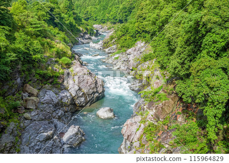 Beautiful summer valley [Ryonaikyo] Odaicho, Takigun, Mie Prefecture 115964829