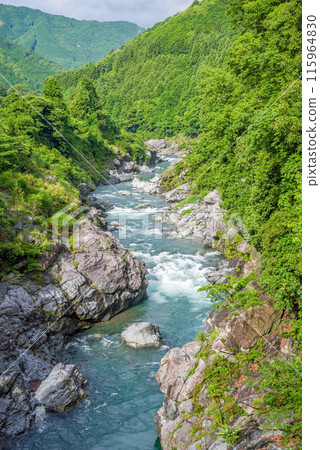 Beautiful summer valley [Ryonaikyo] Odaicho, Takigun, Mie Prefecture 115964830