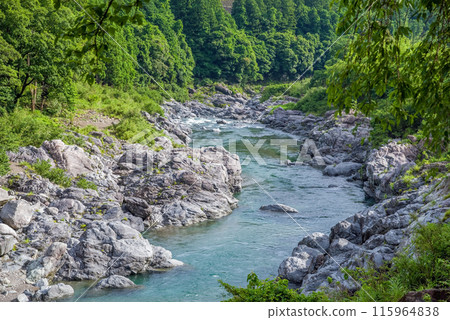 Beautiful valley in summer [upstream Miyagawa River] Odai Town, Taki District, Mie Prefecture 115964838