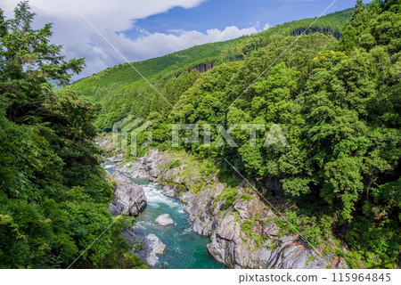 Beautiful summer valley [Ryonaikyo] Odaicho, Takigun, Mie Prefecture 115964845