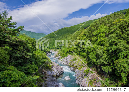 美麗的夏日溪谷【龍內峽谷】 三重縣多喜郡大台町 美麗的夏日溪谷【龍內峽谷】 三重縣多喜郡大台町 115964847