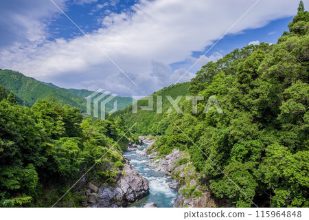美麗的夏日溪谷【龍內峽谷】 三重縣多喜郡大台町 115964848