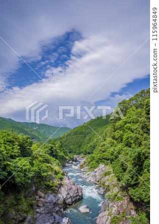 美麗的夏日溪谷【龍內峽谷】 三重縣多喜郡大台町 115964849