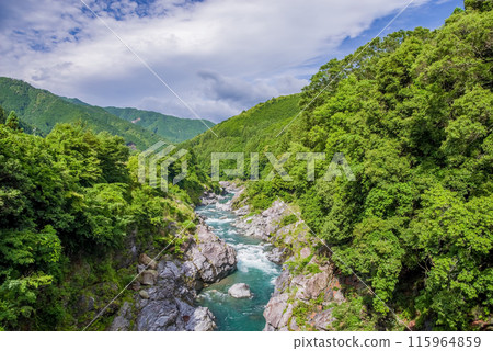 Beautiful summer valley [Ryonaikyo] Odaicho, Takigun, Mie Prefecture 115964859