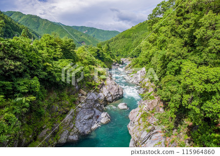 Beautiful summer valley [Ryonaikyo] Odaicho, Takigun, Mie Prefecture 115964860