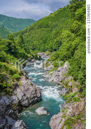 美麗的夏日溪谷【龍內峽谷】 三重縣多喜郡大台町 美麗的夏日溪谷【龍內峽谷】 三重縣多喜郡大台町 115964865