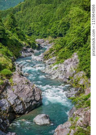 Beautiful summer valley [Ryonaikyo] Odaicho, Takigun, Mie Prefecture 115964866