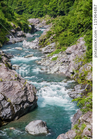 Beautiful summer valley [Ryonaikyo] Odaicho, Takigun, Mie Prefecture 115964867