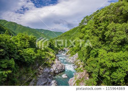 Beautiful summer valley [Ryonaikyo] Odaicho, Takigun, Mie Prefecture 115964869