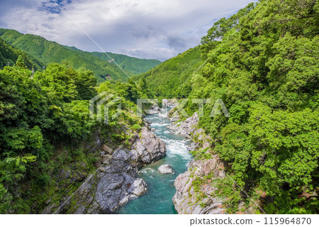 Beautiful summer valley [Ryonaikyo] Odaicho, Takigun, Mie Prefecture 115964870