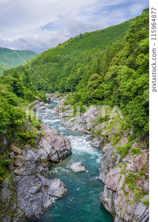 Beautiful summer valley [Ryonaikyo] Odaicho, Takigun, Mie Prefecture 115964877