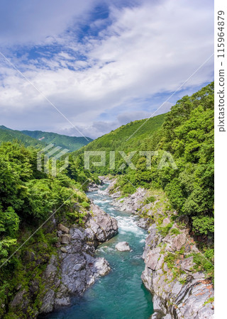 美麗的夏日溪谷【龍內峽谷】 三重縣多喜郡大台町 115964879