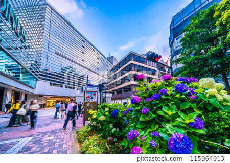 Hydrangeas in front of Yokohama Station. In the background are the Yokohama Municipal Subway Yokohama Station entrance and Sotetsu Yokohama Station. 115964913
