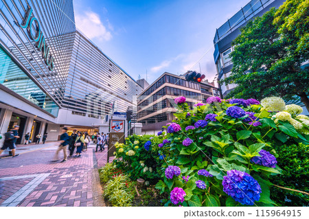 日本橫濱城市景觀 橫濱車站前的繡球花。橫濱市營地鐵橫濱站入口和後面的相鐵橫濱站=第3 日本橫濱城市景觀 橫濱車站前的繡球花。橫濱市營地鐵橫濱站入口和後面的相鐵橫濱站=第3 115964915