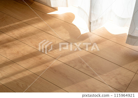 The flooring in my home with sunlight streaming in through the gaps in the curtains The flooring in my home with sunlight streaming in through the gaps in the curtains 115964921