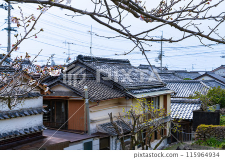 【重要傳統建築群保存地區】高知郡室戶市吉良川町吉野櫻花街景 【重要傳統建築群保存地區】高知郡室戶市吉良川町吉野櫻花街景 115964934