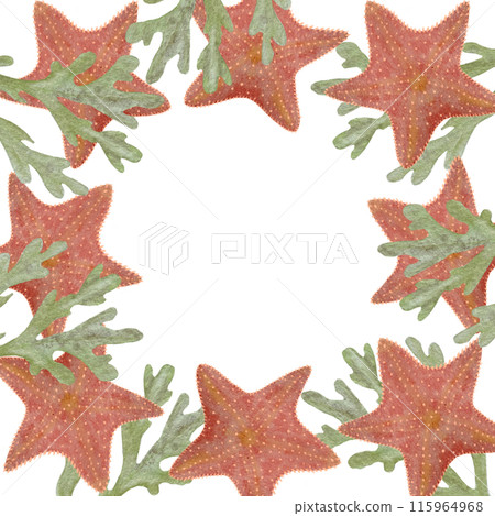 Watercolor hand-drawn starfish seaweed frame isolated on white. High quality flat illustration. Great for notebooks, souvenirs, stamps, tape, fishing, cards, guides, tourism, dishes, logo decor design Watercolor hand-drawn starfish seaweed frame isolated on white. High quality flat illustration. Great for notebooks, souvenirs, stamps, tape, fishing, cards, guides, tourism, dishes, logo decor design 115964968