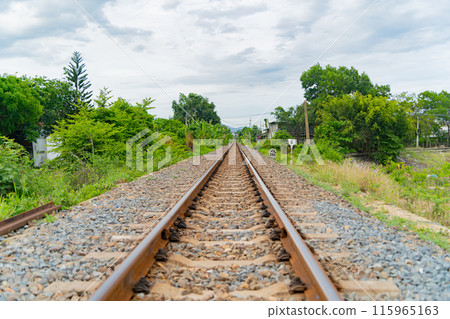 The old railway track. The old railway track. 115965163