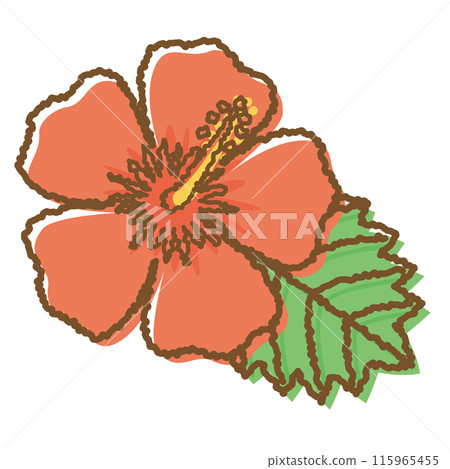 紅芙蓉手繪插畫 紅芙蓉手繪插畫 115965455