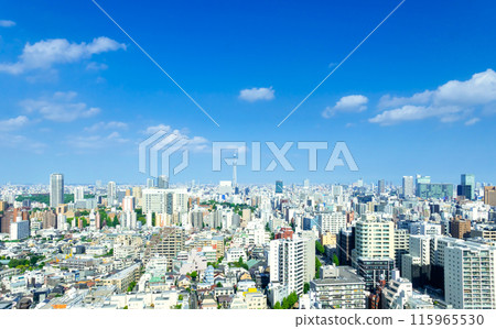 Tokyo scenery: Skytree and downtown streets 115965530