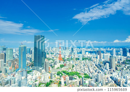 Tokyo scenery: blue sky and sea 115965689