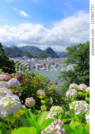 （靜岡縣）繡球花盛開，下田公園，下面的下田市容 115965737