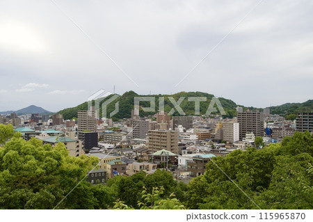 View of the hot spring town from the Dogo Park Observatory View of the hot spring town from the Dogo Park Observatory 115965870