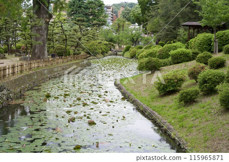 A small moat at the ruins of Yuzuki Castle in Dogo Park 115965871