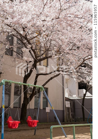 櫻桃樹和紅色鞦韆 115965957
