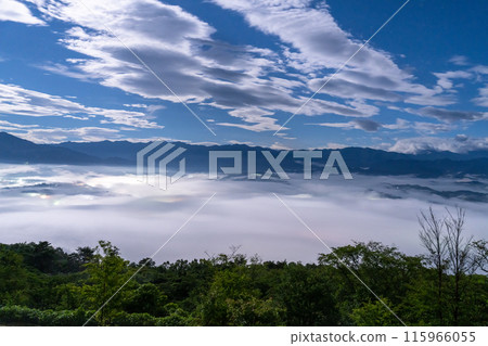 【埼玉縣】秩父的大片雲海和月夜 115966055