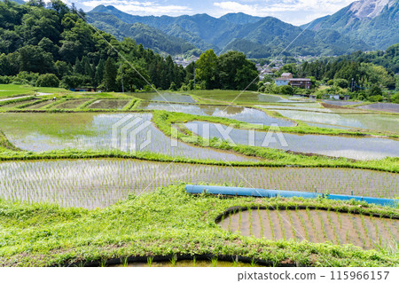 <Saitama Prefecture> Terasaka rice terraces during rice planting season and Chichibu in early summer <Saitama Prefecture> Terasaka rice terraces during rice planting season and Chichibu in early summer 115966157