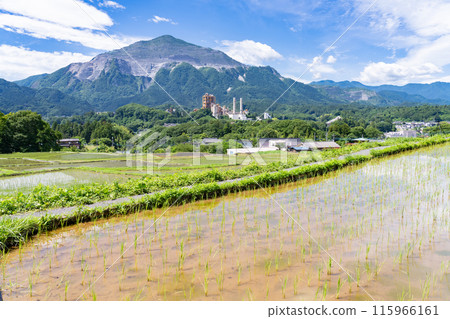 <Saitama Prefecture> Terasaka rice terraces during rice planting season and Chichibu in early summer <Saitama Prefecture> Terasaka rice terraces during rice planting season and Chichibu in early summer 115966161