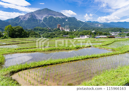 <Saitama Prefecture> Terasaka rice terraces during rice planting season and Chichibu in early summer 115966163