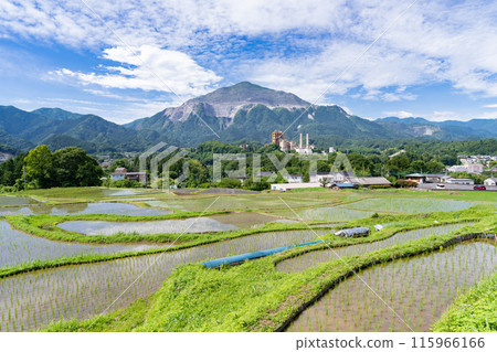 [埼玉縣] 插秧季節的寺坂梯田、初夏的秩父 115966166