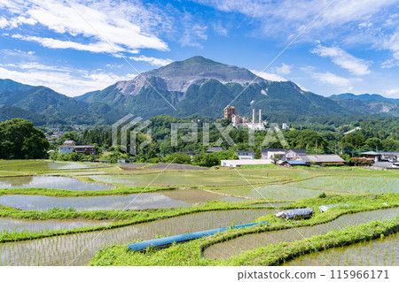 [埼玉縣] 插秧季節的寺坂梯田、初夏的秩父 115966171