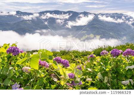 <Saitama Prefecture> Chichibu's Great Sea of Clouds - A Morning in the Rainy Season <Saitama Prefecture> Chichibu's Great Sea of Clouds - A Morning in the Rainy Season 115966329