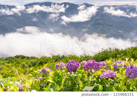 <Saitama Prefecture> Chichibu's Great Sea of Clouds - A Morning in the Rainy Season <Saitama Prefecture> Chichibu's Great Sea of Clouds - A Morning in the Rainy Season 115966331