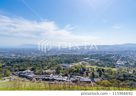 [Spring] Nara Park - View from Mount Wakakusa [Cherry Blossoms] 115966692