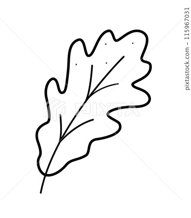 Oak leaf cartoon doodle icon. Vector illustration of a sketch of a tree leaf isolated on white. Oak leaf cartoon doodle icon. Vector illustration of a sketch of a tree leaf isolated on white. 115967031