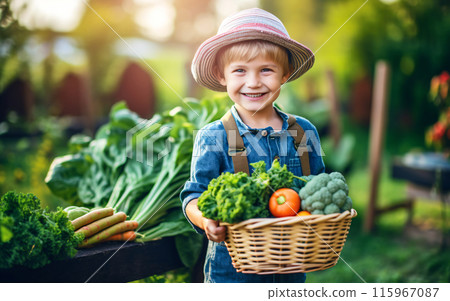 Happy little child boy gardener with harvested vegetables in a basket in the backyard, Autumn harvest concept Happy little child boy gardener with harvested vegetables in a basket in the backyard, Autumn harvest concept 115967087