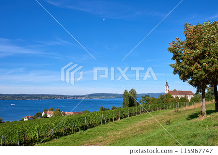 Bodensee Panorama: Alps on the Horizon, Vineyards, and Pastoral Beauty. Alpine Horizon: Bodensee, Vineyards, and Quaint Villages in the German Countryside. Vineyard Vistas: Bodensee, Alpine Peaks, and 115967747