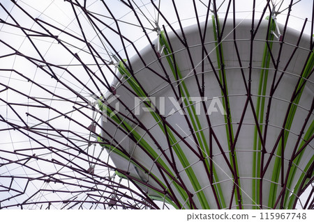 Supertree Grove in Garden By the Bay, Singapore. It features towering tree-like structures that provide shade, light up at night, and support vertical gardens 115967748