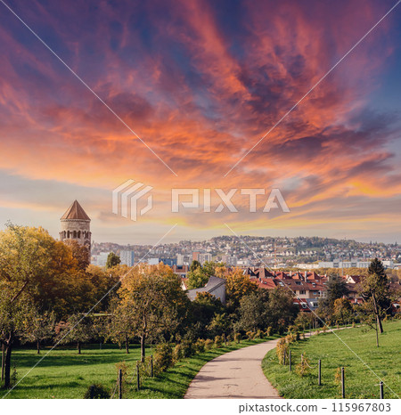 Germany, Stuttgart panorama view. Beautiful houses in autumn, Sky and nature landscape. Vineyards in Stuttgart - colorful wine growing region in the south of Germany with view over Neckar Valley 115967803