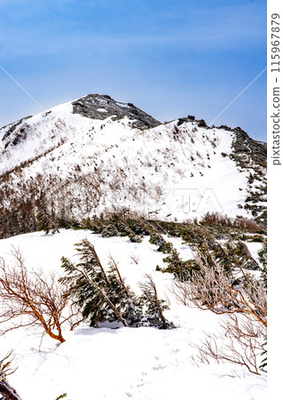 Shogizumeyama in the Central Alps - Climbing in the snow season - Shogizumeyama seen from the Chausuyama fork 115967879