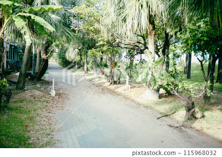 熱帶度假村步道 115968032