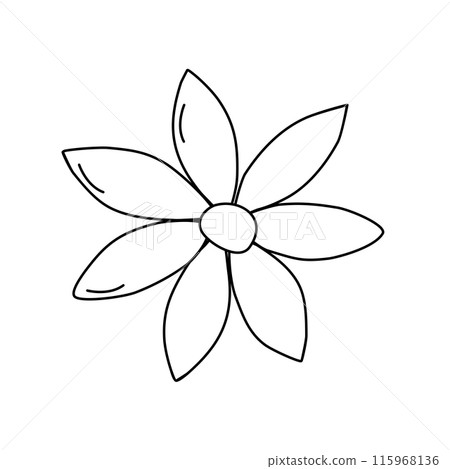 Star anise, cooking or baking ingredient, doodle style flat vector outline for coloring book Star anise, cooking or baking ingredient, doodle style flat vector outline for coloring book 115968136