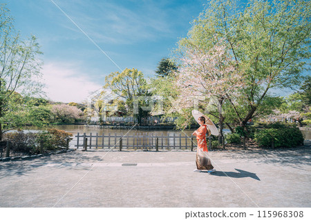 New adults walking under the cherry blossom trees 115968308