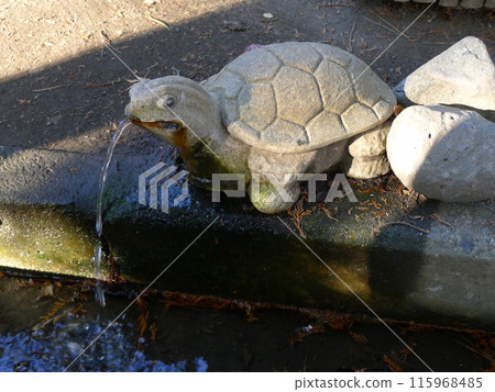 Turtle Fountain (Turtle Fountain) 115968485